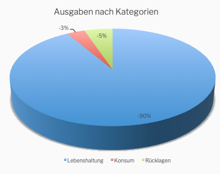 Ausgaben nach Kategorien Januar 2021